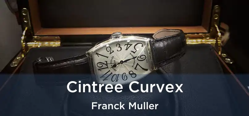  Cintree Curvex Franck Muller